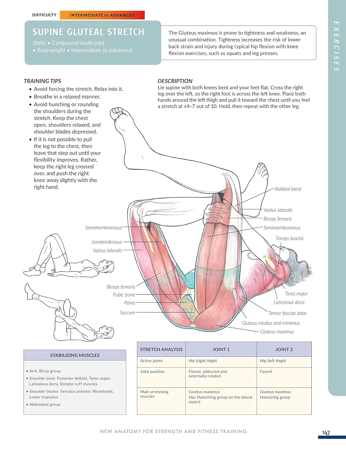 New Anatomy for Strength & Fitness Training An Illustrated Guide By Mark Vella