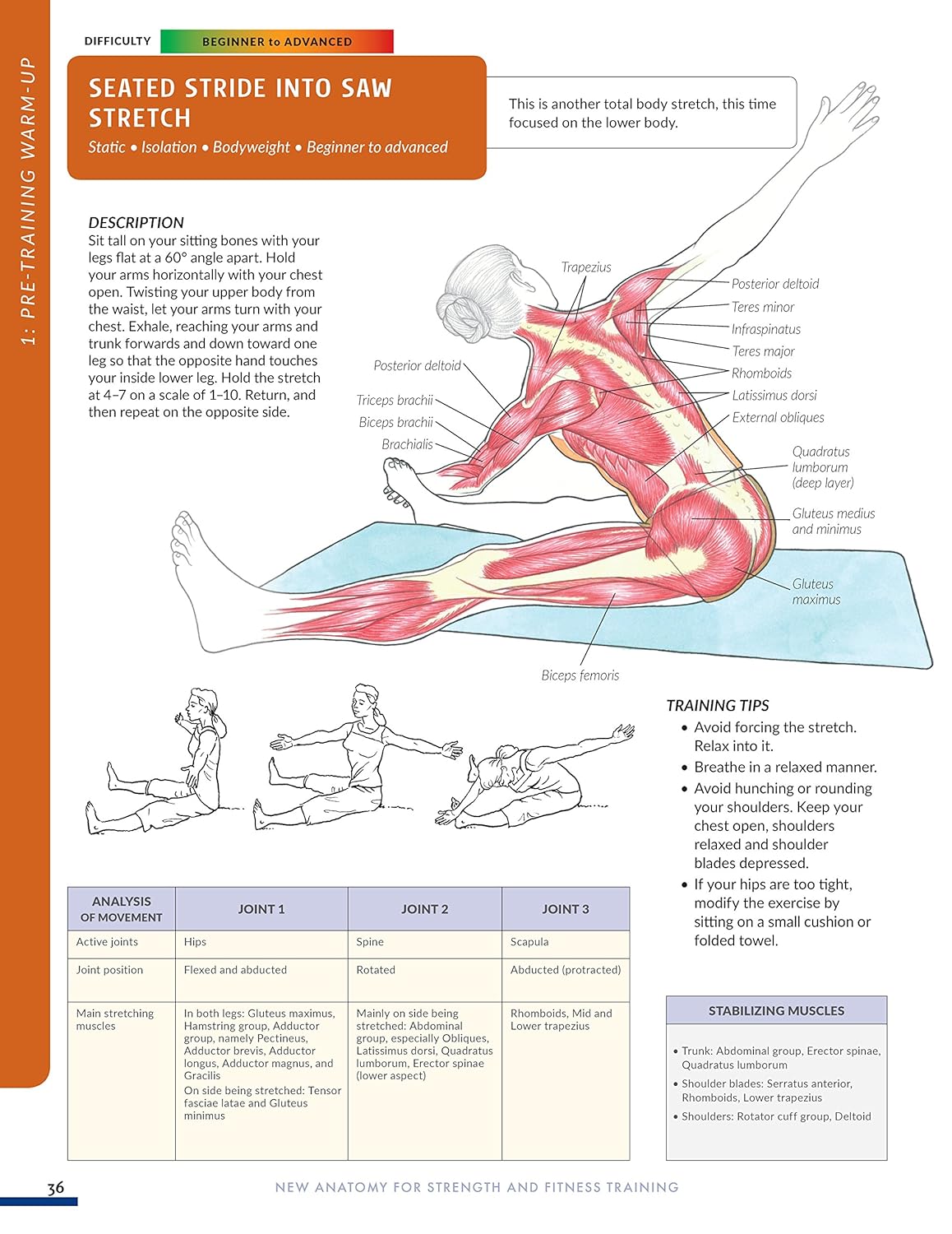 New Anatomy for Strength & Fitness Training An Illustrated Guide By Mark Vella