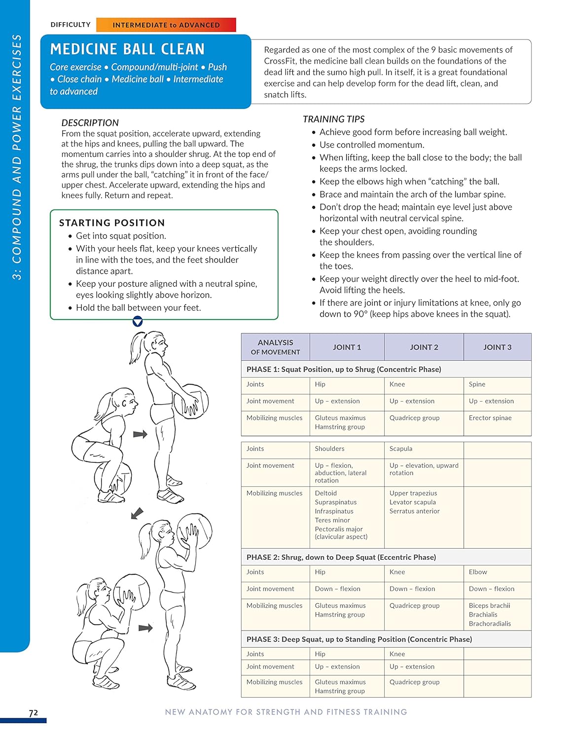 New Anatomy for Strength & Fitness Training An Illustrated Guide By Mark Vella