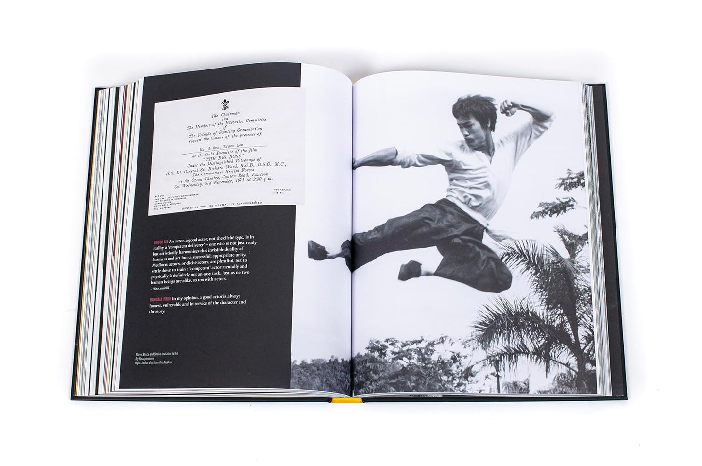 In My Own Process By Bruce lee