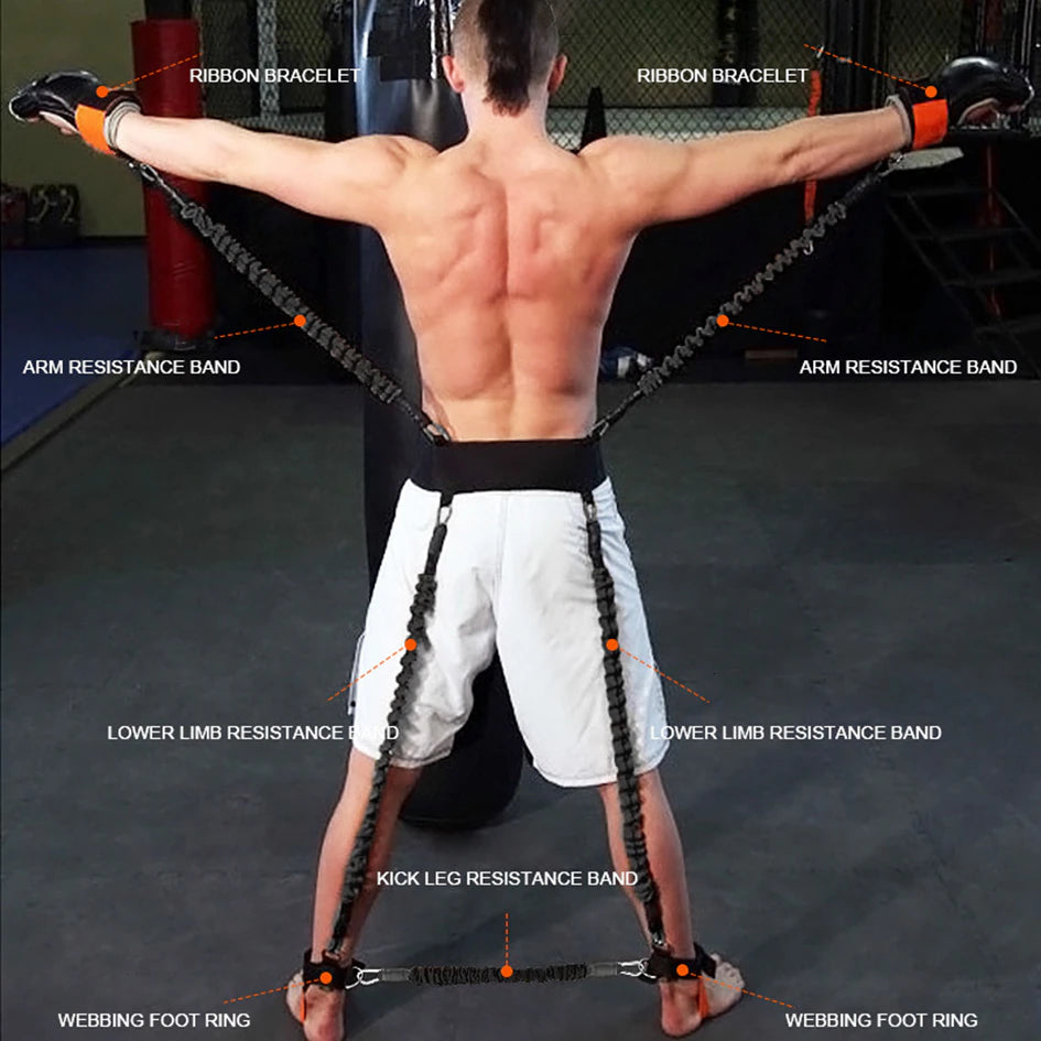 Professional Fighting Resistance Bands